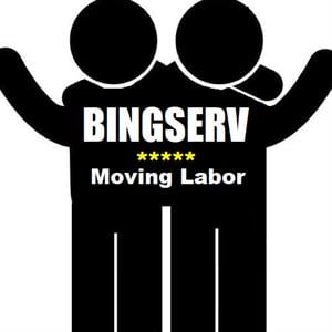 BingServ Logo