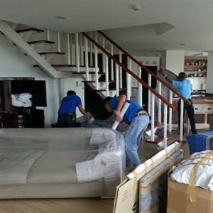 Exquisite Logistics logo