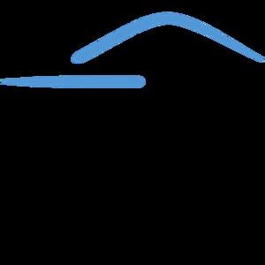 NeX Level Moving logo