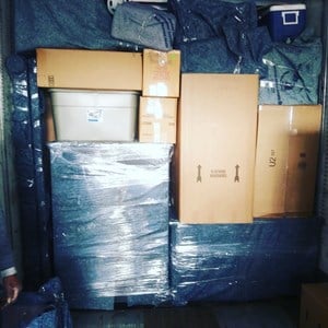 Moving Specialist Logo