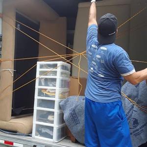 Moving & Storage Services-Lic. & Ins.